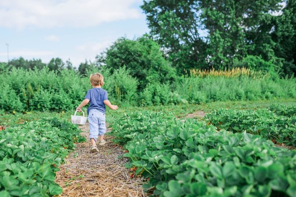 Comment choisir les jeux de jardin pour enfants ?