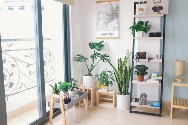 Quelles sont les tendances de décoration intérieure avec des plantes ?