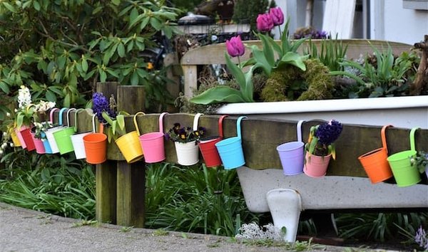 Quelles plantes choisir pour un jardin économe en eau ?