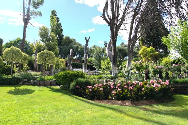 Comment préserver le patrimoine naturel dans l'aménagement de son jardin ?