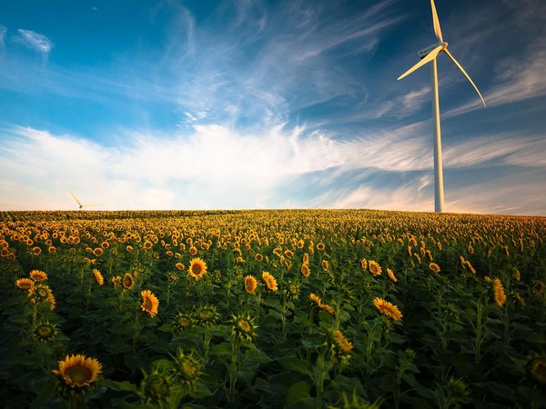Comment adapter son jardin au climat de sa région ? 